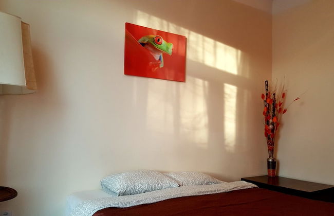 Orange Studio - Foto 7