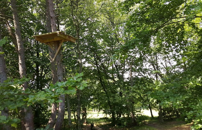 10 Person Holiday Home in Hadsund-by Traum - Photo 7