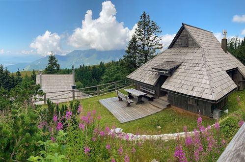 Foto 15 - Koča Zlatorog - Velika planina