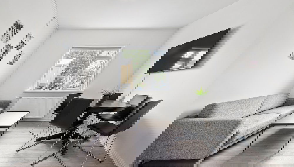 Imagem principal