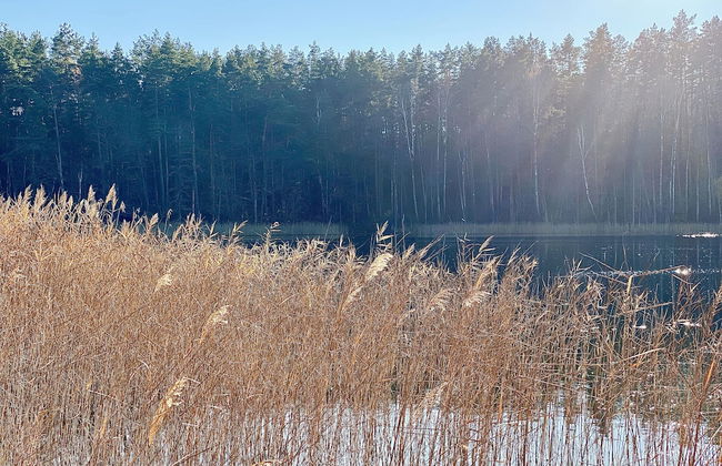 The Lake. Unique Waterfront Villa - Foto 45