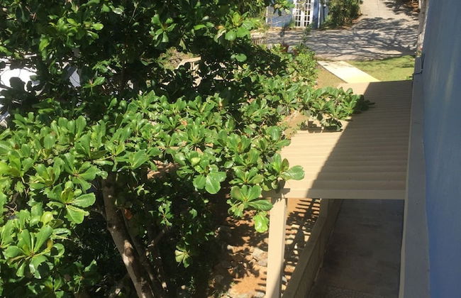 Villa Indigo 1BR in Private Gated Estate - Photo 19