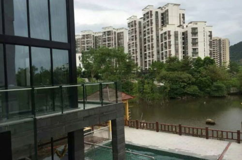 Photo 8 - Moon River Lake View Villa