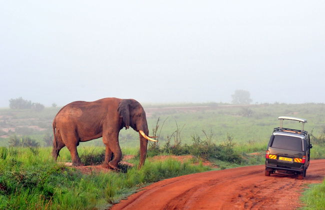 Victoria Lake View Guest House & Safaris - Foto 30