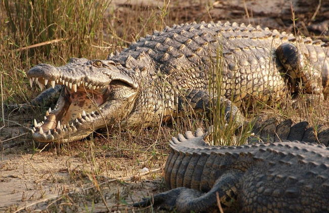 Victoria Lake View Guest House & Safaris - Foto 42