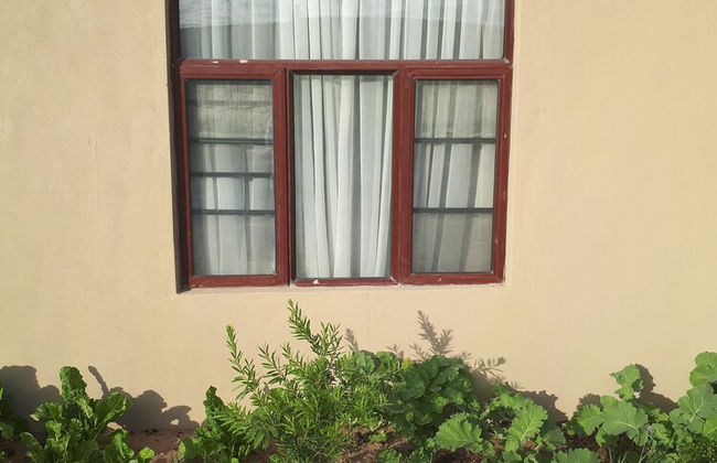 MafKing Apartments - Foto 4