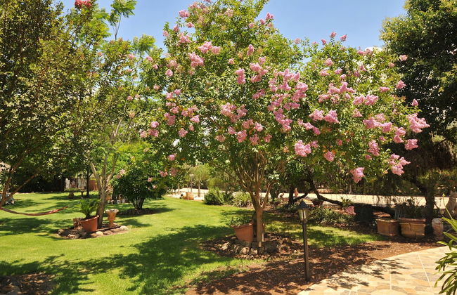 Kidmat Hagalil - Foto 40