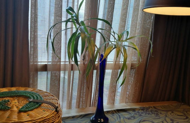 Pleasant Tifolia Studio Cozy Room In Kelapa Gading - Foto 24