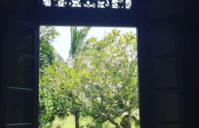Galle Henna Estate - Photo 43
