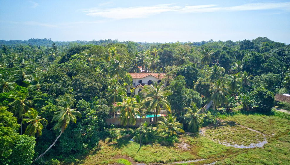 Primary image