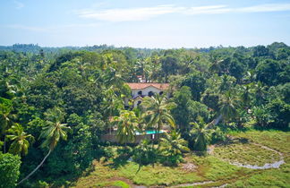 Photo 1 - Galle Henna Estate