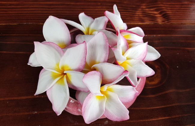 2-bed Apt, Sleeps 5, Near Beau Vallon Beach - Foto 27