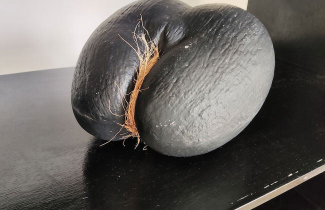 2-bed Apt, Sleeps 5, Near Beau Vallon Beach - Foto 46