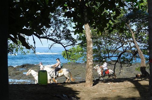 Photo 10 - You Imagine Costa Rica Our Location Being on the Beach is What You Imagine