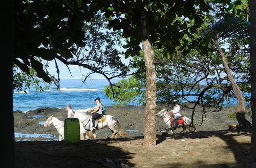 Photo 10 - You Imagine Costa Rica Our Location Being on the Beach is What You Imagine