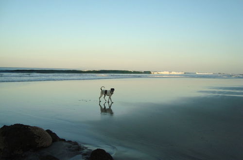 Foto 3 - You Imagine Costa Rica Our Location Being on the Beach is What You Imagine