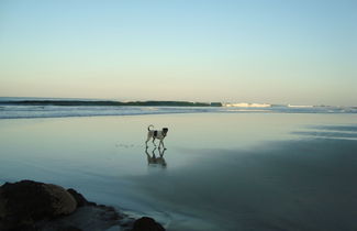 Foto 3 - You Imagine Costa Rica Our Location Being on the Beach is What You Imagine