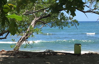 Photo 1 - You Imagine Costa Rica Our Location Being on the Beach is What You Imagine