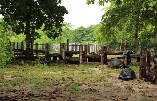 Heliconia Grove - Foto 19