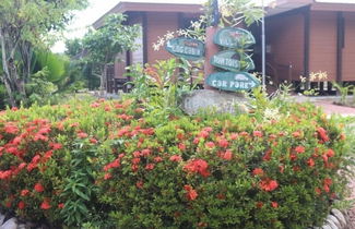 Photo 3 - Heliconia Grove