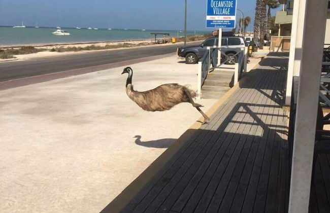 Oceanside Village - Foto 21