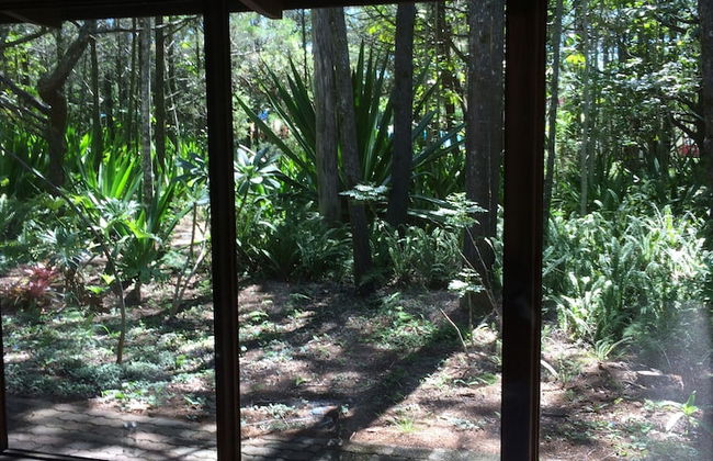 Byron Bay Rainforest Resort - Foto 20
