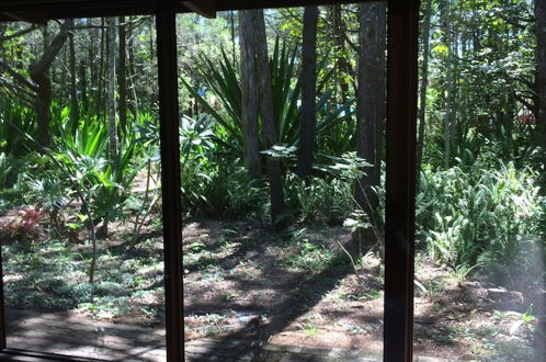 Photo 20 - Byron Bay Rainforest Resort