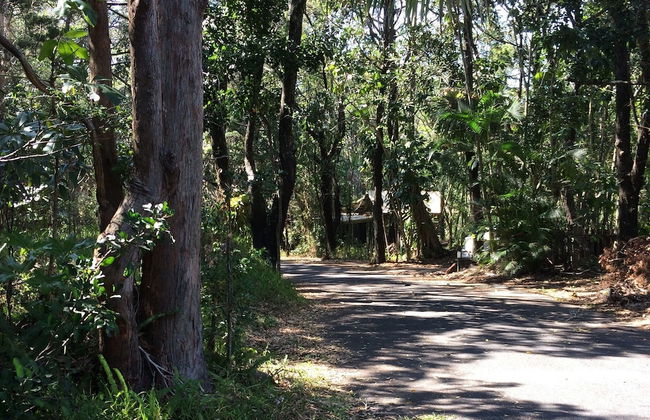 Byron Bay Rainforest Resort - Foto 30