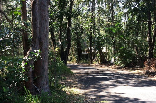 Photo 30 - Byron Bay Rainforest Resort