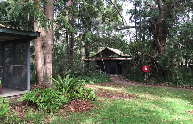Byron Bay Rainforest Resort - Foto 2