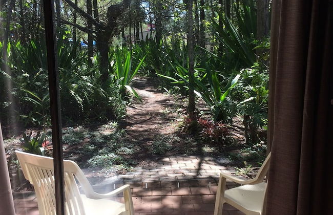 Byron Bay Rainforest Resort - Foto 22