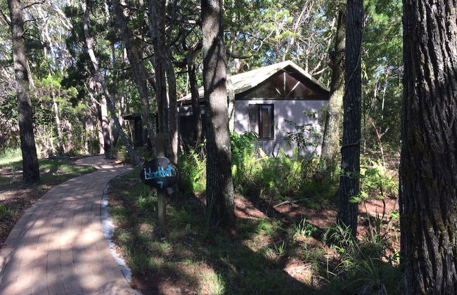 Byron Bay Rainforest Resort - Foto 6
