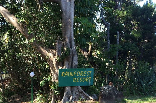 Photo 29 - Byron Bay Rainforest Resort