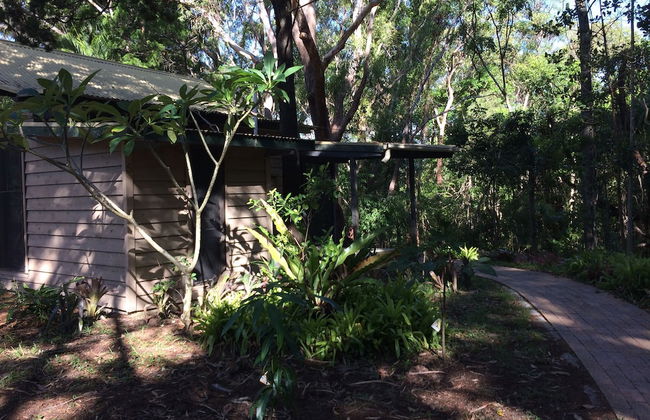 Byron Bay Rainforest Resort - Foto 3