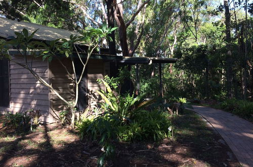 Photo 3 - Byron Bay Rainforest Resort