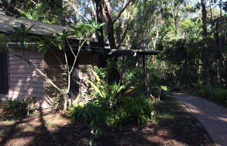 Foto 3 - Byron Bay Rainforest Resort