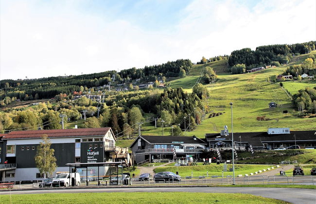 Hafjell Resort Jaertunet - Foto 24