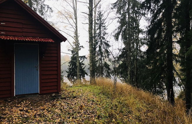 Tiny hut in the Forest Overlooking the River - Foto 26