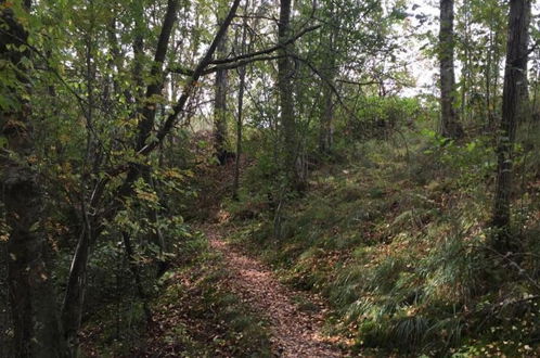 Photo 27 - Tiny hut in the Forest Overlooking the River