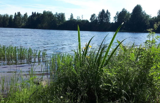 Tiny hut in the Forest Overlooking the River - Foto 32