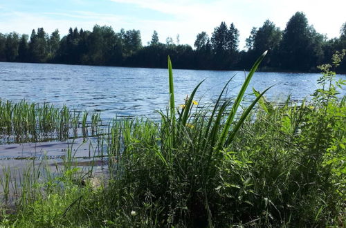 Photo 33 - Tiny hut in the Forest Overlooking the River