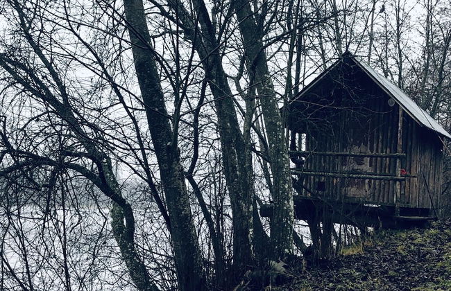 Tiny hut in the Forest Overlooking the River - Foto 35