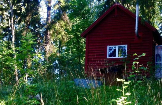 Tiny hut in the Forest Overlooking the River - Foto 36