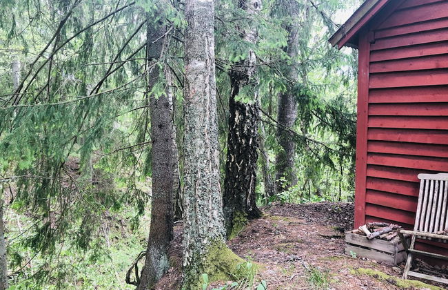 Tiny hut in the Forest Overlooking the River - Foto 23