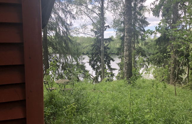 Tiny hut in the Forest Overlooking the River - Foto 22