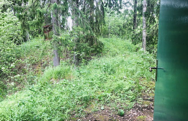Tiny hut in the Forest Overlooking the River - Foto 24