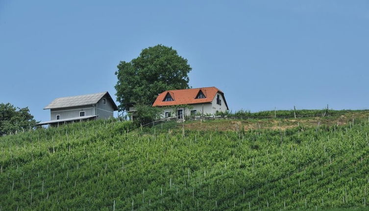 Photo 1 - Vineyard cottage Zdolšek