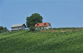 Photo 1 - Vineyard cottage Zdolšek