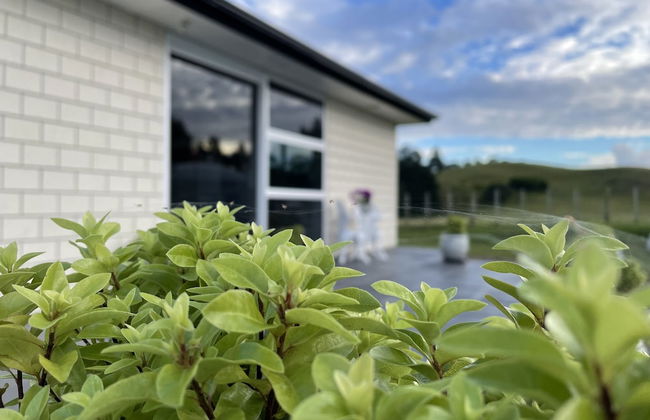 Veld View Bed & Breakfast - Foto 20