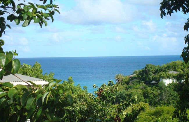 Galley Bay Cottages - Foto 51